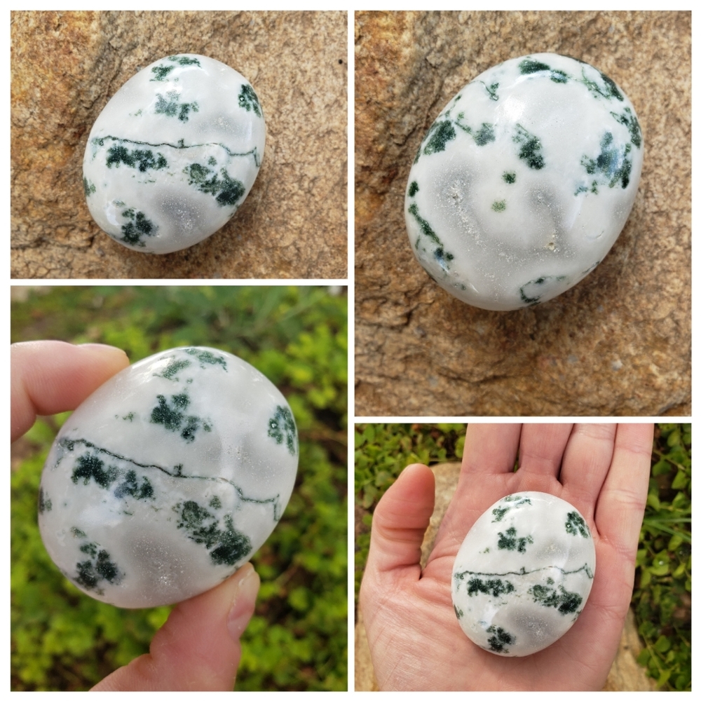 Tree Agate Palmstone